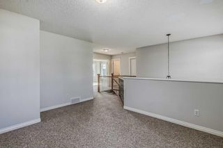 Photo 33: 163 Discovery Ridge Way SW in Calgary: Discovery Ridge Detached for sale : MLS®# A2079702