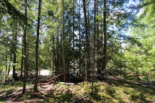 Photo 10: Lot 212 Estate Place in Anglemont: North Shuswap Land Only for sale : MLS®# 10233839
