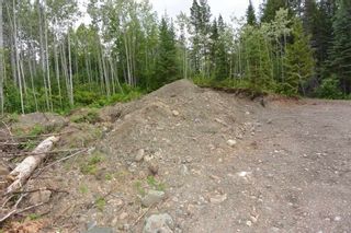Photo 15: DL 1335A 37 Highway: Kitwanga Land for sale (Smithers And Area (Zone 54))  : MLS®# R2471833