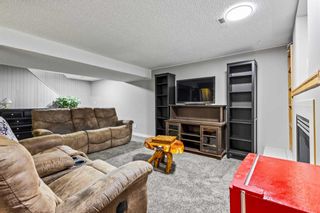 Photo 20: 456 Cedarille Crescent SW in Calgary: Cedarbrae Detached for sale : MLS®# A2129874
