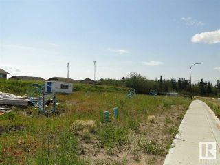 Photo 5: 12 Avenue & 13 Street: Cold Lake Vacant Lot/Land for sale : MLS®# E4317084