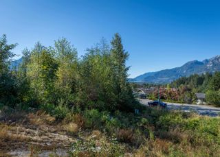 Photo 14: 1031 GLACIER VIEW Drive in Squamish: Garibaldi Highlands Land for sale in "Glacier View" : MLS®# R2722121