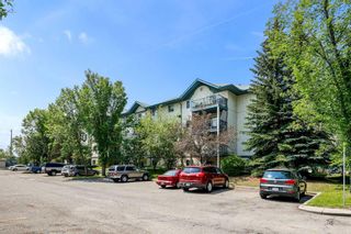 Main Photo: 408 11 Dover Point SE in Calgary: Dover Apartment for sale : MLS®# A2063948