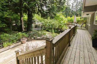 Photo 19: 686 E OSBORNE Road in North Vancouver: Princess Park House for sale : MLS®# R2082991