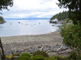 Photo 30: 320 Huck Rd in Whaletown: Isl Cortes Island House for sale (Islands)  : MLS®# 863187