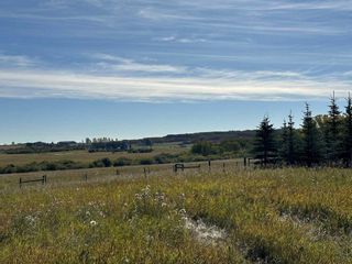 Photo 8: 2900069 Range Road 293: Rural Foothills County Residential Land for sale : MLS®# A2084170