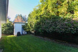 Photo 20: 33495 BEST Avenue in Mission: Mission BC House for sale : MLS®# R2217077