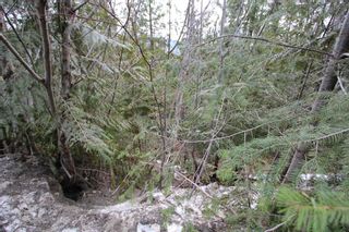 Photo 11: Lot 28 Vickers Trail in Anglemont: North Shuswap Land Only for sale (Shuswap)  : MLS®# 10093853
