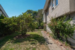 Photo 4: 34 Olympia Ave in Victoria: Vi James Bay House for sale : MLS®# 915930