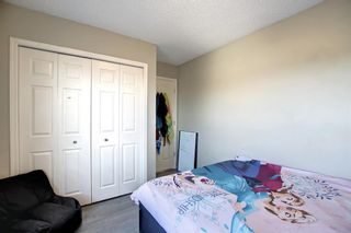 Photo 24: 47 Martha's Meadow Drive NE in Calgary: Martindale Detached for sale : MLS®# A1178725