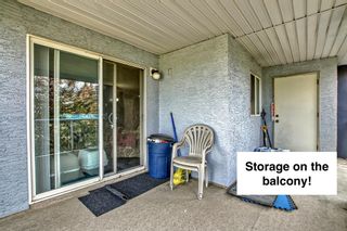Photo 40: 1215 2280 68 Street NE in Calgary: Monterey Park Apartment for sale : MLS®# A2054328
