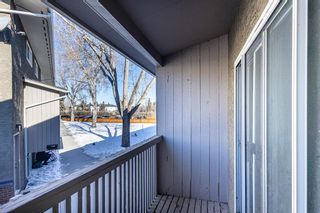Photo 30: 23 8112 36 Avenue NW in Calgary: Bowness Row/Townhouse for sale : MLS®# A2034576
