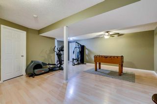 Photo 25: 5327 Copperfield Gate SE in Calgary: Copperfield Detached for sale : MLS®# A2092784