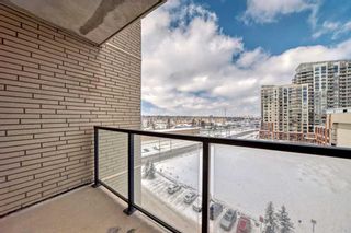 Photo 11: 711 8880 Horton Road SW in Calgary: Haysboro Apartment for sale : MLS®# A2120410