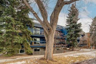 Photo 3: 102 234 5 Avenue NE in Calgary: Crescent Heights Apartment for sale : MLS®# A2104416