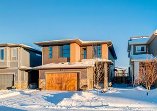 Photo 40: 40 CRANBROOK Circle SE in Calgary: Cranston Detached for sale : MLS®# A2006840