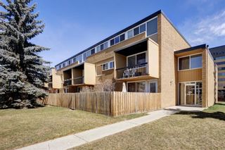 Photo 1: 221 7007 4A Street SW in Calgary: Kingsland Apartment for sale : MLS®# A2028963