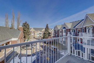 Photo 17: 352 3000 Marda Link SW in Calgary: Garrison Woods Apartment for sale : MLS®# A2119094