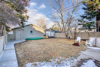 Photo 41: 4614 70 Street in Calgary: Bowness Detached for sale : MLS®# A1193841