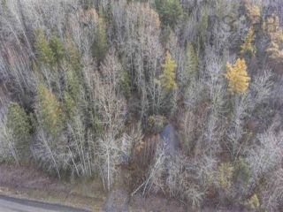 Photo 5: 1582 Black River Road in Black River Lake: Kings County Vacant Land for sale (Annapolis Valley)  : MLS®# 202321722