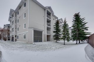 Photo 23: 2119 6224 17 Avenue SE in Calgary: Red Carpet Apartment for sale : MLS®# A2011902