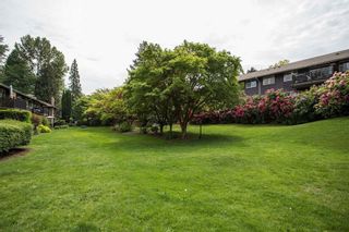 Photo 31: 805 555 W 28TH Street in North Vancouver: Upper Lonsdale Townhouse for sale in "CEDARBROOKE VILLAGE" : MLS®# R2873237