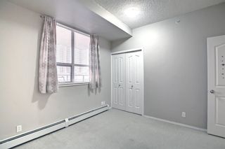 Photo 19: 416 1053 10 Street SW in Calgary: Beltline Apartment for sale : MLS®# A1164525