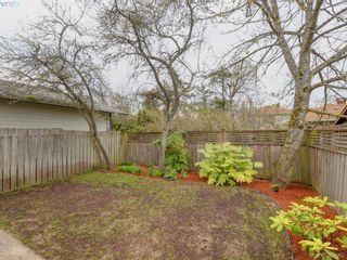 Photo 18: 2879 Inez Dr in VICTORIA: SW Gorge House for sale (Saanich West)  : MLS®# 783826