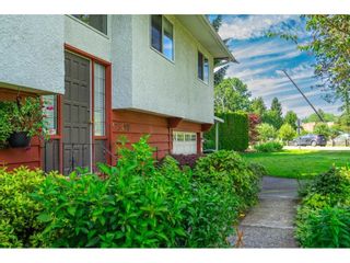 Photo 10: 23490 MARY Avenue in Langley: Fort Langley House for sale in "FORT LANGLEY" : MLS®# R2702893