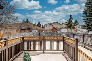 Photo 19: 1139 Berkley Drive NW in Calgary: Beddington Heights Semi Detached for sale : MLS®# A1172048