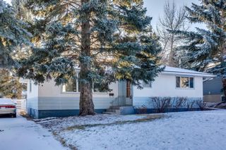 Photo 31: 1007 30th Avenue NW in Calgary: Cambrian Heights Detached for sale : MLS®# A1166487