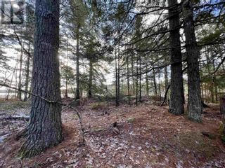 Photo 11: Lot 24 Domino Drive in Westfield: Vacant Land for sale : MLS®# 202325277
