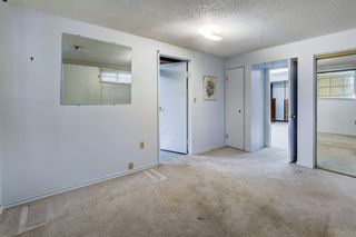 Photo 25: 7316 7 Street NW in Calgary: Huntington Hills Detached for sale