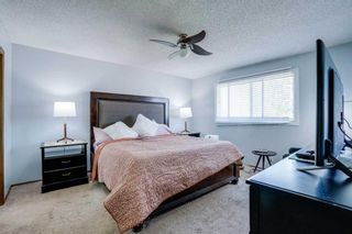 Photo 14: 439 Templeton Road NE in Calgary: Temple Detached for sale : MLS®# A2069885