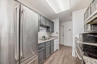 Photo 7: 913 8604 48 Avenue NW in Calgary: Bowness Apartment for sale : MLS®# A2126675