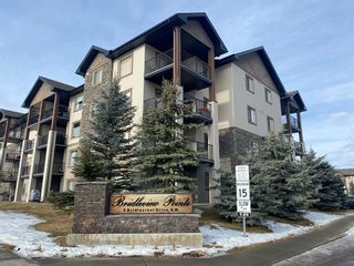 Photo 1: 2414 8 Bridlecrest Drive SW in Calgary: Bridlewood Apartment for sale : MLS®# A2018807
