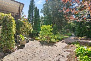 Photo 33: 23685 52 Avenue in Langley: Salmon River House for sale : MLS®# R2877894