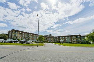 Photo 1: 322 45598 McIntosh Drive in Chilliwack: Chilliwack W Young-Well Condo for sale : MLS®# R2273089