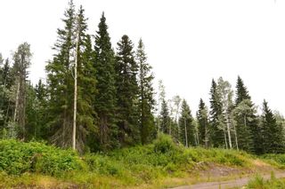 Photo 1: LOT 13 GRANTHAM Road in Smithers: Smithers - Rural Land for sale in "Grantham" (Smithers And Area (Zone 54))  : MLS®# R2604020
