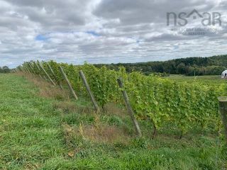 Photo 4: 433 Woodside Road in Woodside: Kings County Farm for sale (Annapolis Valley)  : MLS®# 202222692