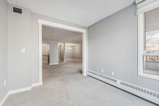 Photo 18: 203 2425 90 Avenue SW in Calgary: Palliser Apartment for sale : MLS®# A2126388