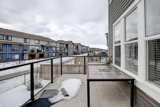 Photo 47: 33 Williamstown Park NW: Airdrie Detached for sale : MLS®# A1056206
