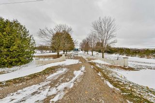 Photo 5: 433334 4th Line in Amaranth: Rural Amaranth House (Bungalow) for sale : MLS®# X4977580