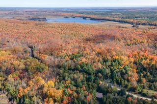 Photo 10: LOT 11 CON 1 Laxton Road in Kirkfield: Laxton/Digby/Longford (Twp) Residential for sale (Kawartha Lakes)  : MLS®# 40335245