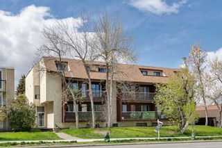 Photo 1: 401 1113 37 Street SW in Calgary: Rosscarrock Apartment for sale : MLS®# A2133687