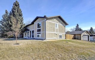 Photo 2: 47 Stafford Street: Crossfield House for sale : MLS®# C4179003