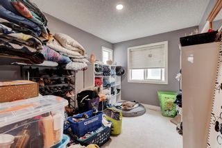 Photo 20: 171 Baywater Rise SW: Airdrie Detached for sale : MLS®# A2040211