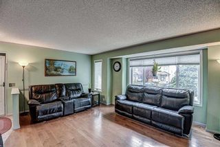 Photo 6: 228 Martindale Drive NE in Calgary: Martindale Detached for sale : MLS®# A2086435