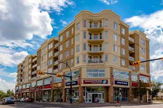 Photo 45: 106 3651 Marda Link SW in Calgary: Garrison Woods Apartment for sale : MLS®# A2071602