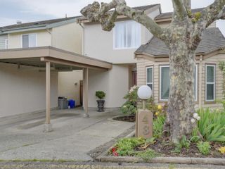 Photo 1: 48 7925 Simpson Rd in Central Saanich: CS Saanichton Row/Townhouse for sale : MLS®# 901743